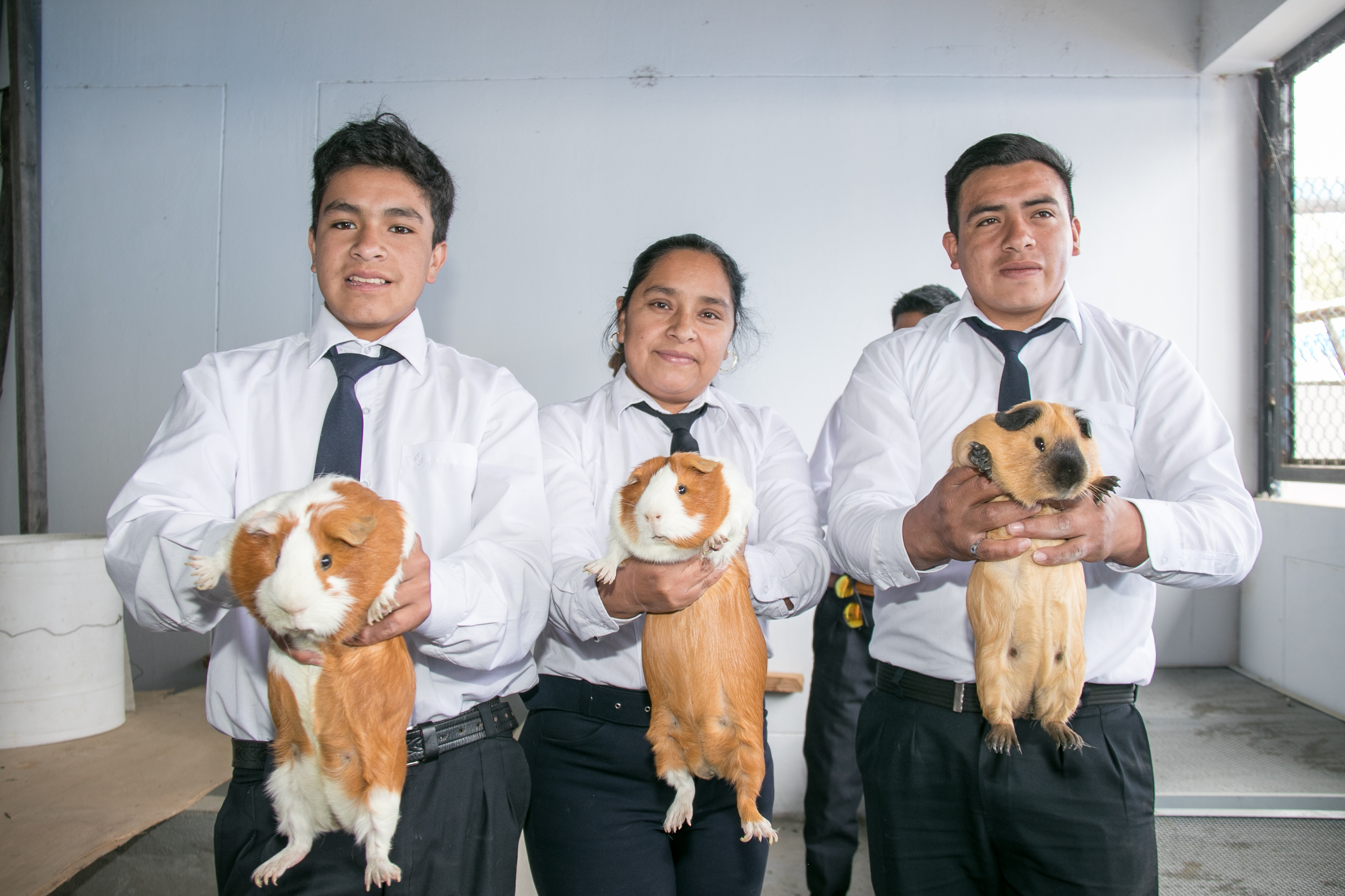 Produccion Agropecuaria